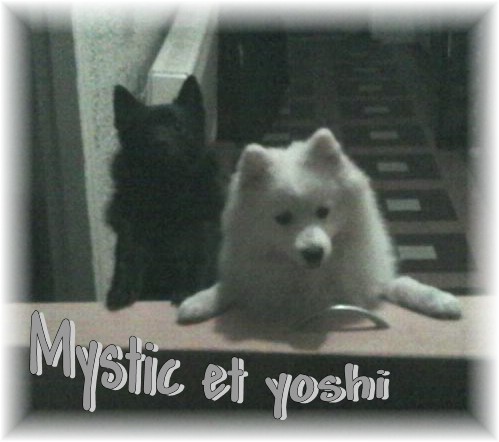 des joyeux dahus - Des news de Mystic (fille de Meg x eyù) et Yoshi