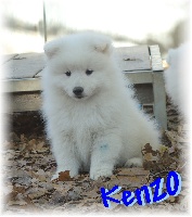 Lovely Kenzo