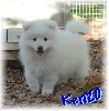 Lovely Kenzo