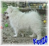 Little Kenzo