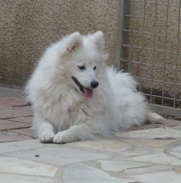 Jolie yume von der blauen flurt