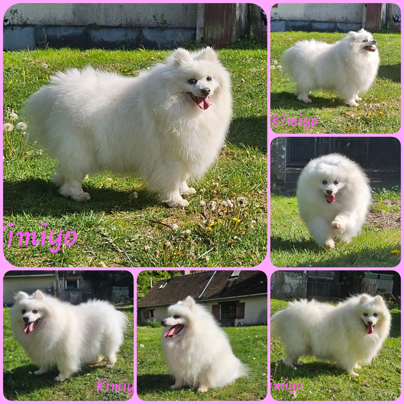 Mamie Kimiyo fête ses 11 ans !