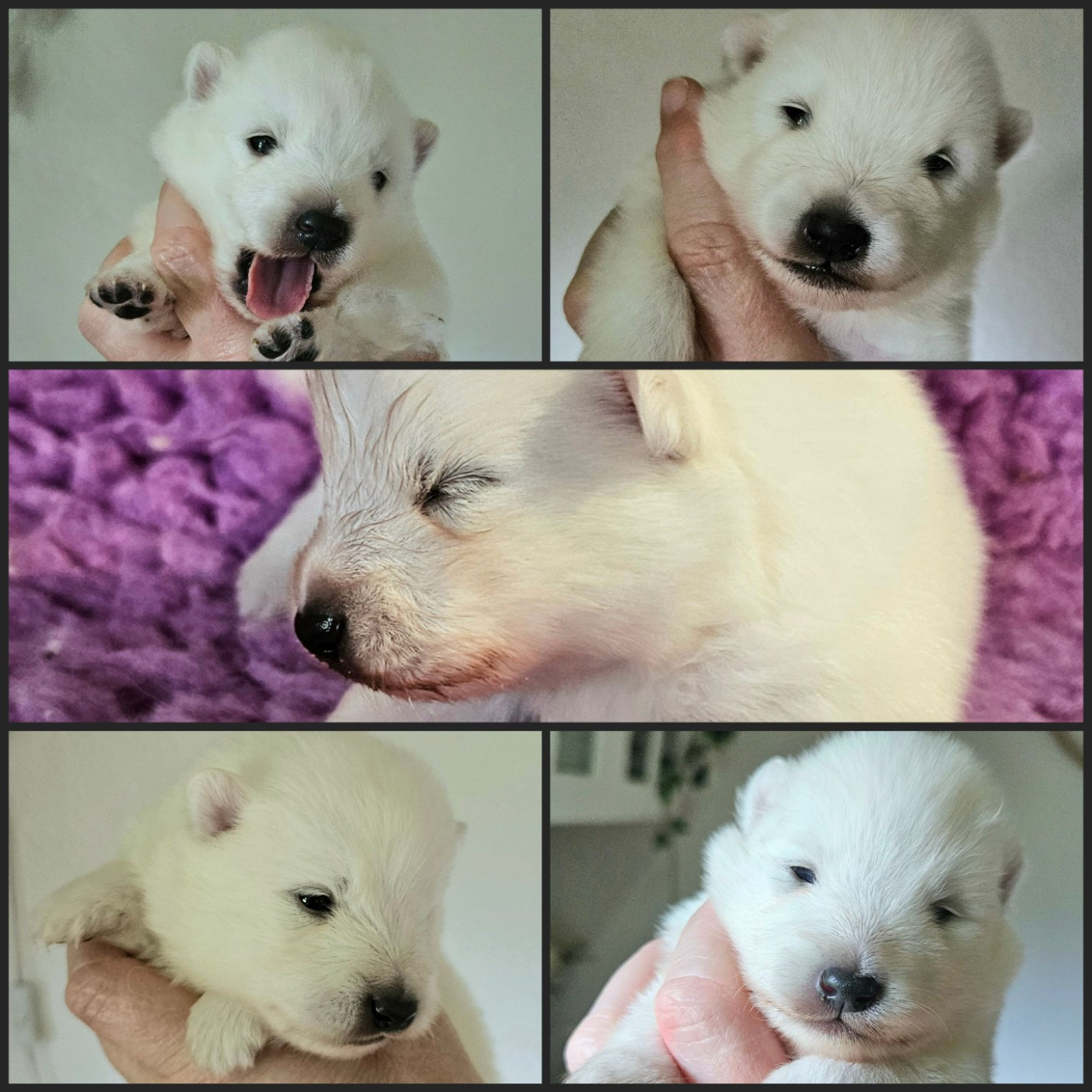 Nouvelles photos des babytamae !!!