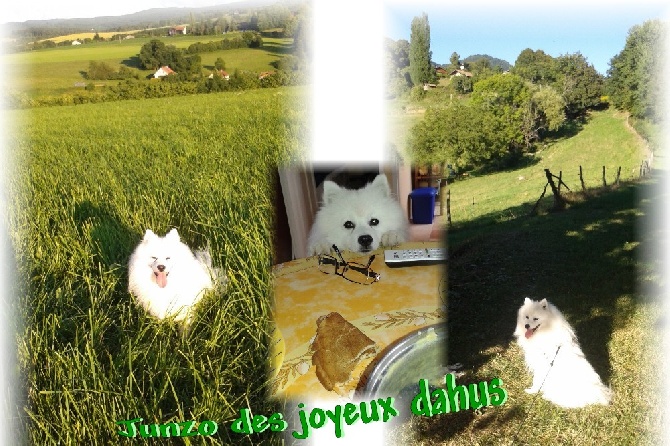 des joyeux dahus - D'autres photos de Junzo (fils d'hanako et ryù)